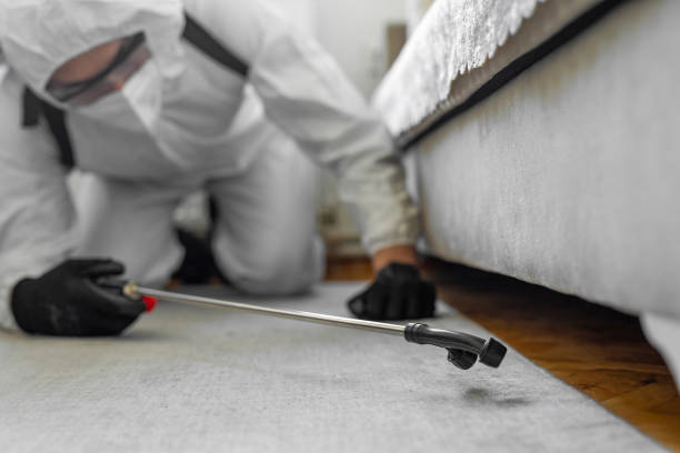 Professional Bed Bug Control technician working in Milan, MO